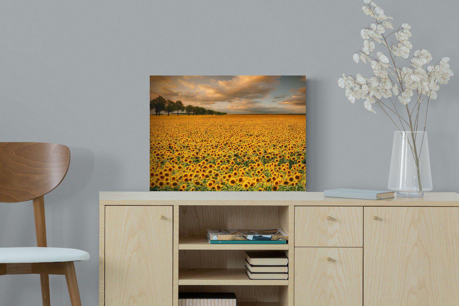 Sunflower Field-Wall_Art-60 x 45cm-Mounted Canvas-No Frame-Pixalot