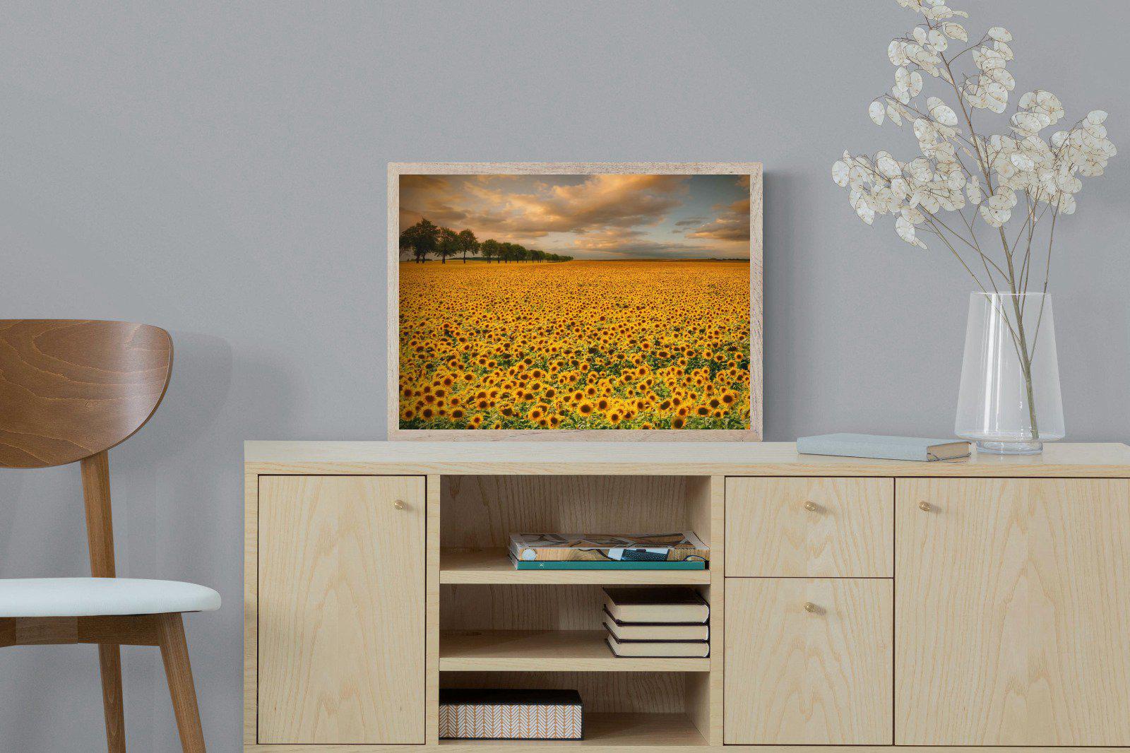 Sunflower Field-Wall_Art-60 x 45cm-Mounted Canvas-Wood-Pixalot