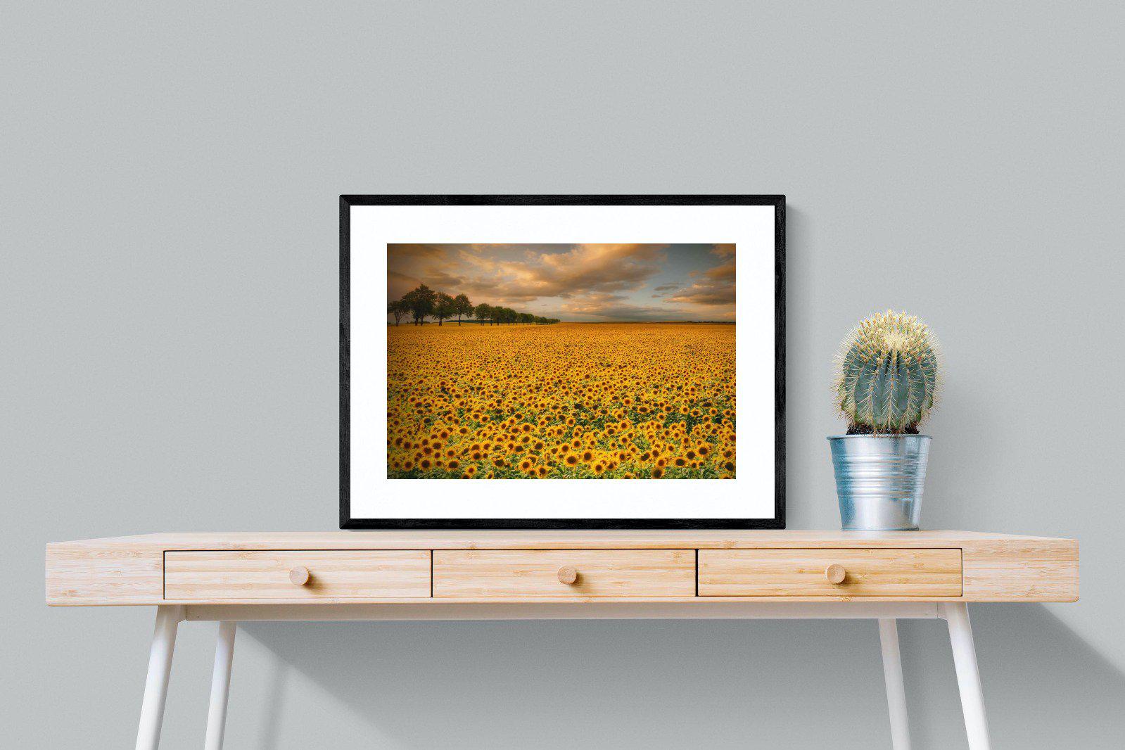 Sunflower Field-Wall_Art-80 x 60cm-Framed Print-Black-Pixalot