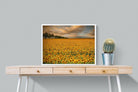Sunflower Field-Wall_Art-80 x 60cm-Mounted Canvas-White-Pixalot