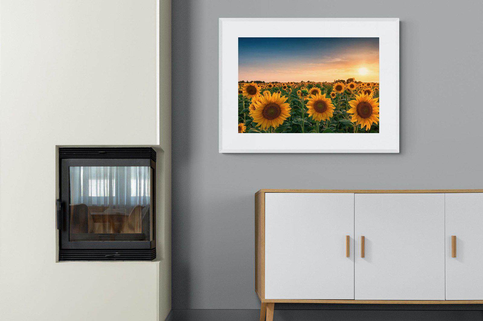 Sunflowers-Wall_Art-100 x 75cm-Framed Print-White-Pixalot