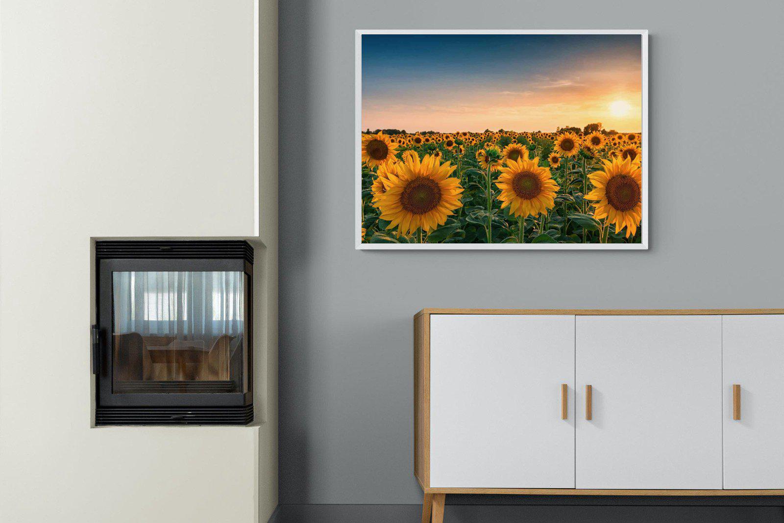 Sunflowers-Wall_Art-100 x 75cm-Mounted Canvas-White-Pixalot