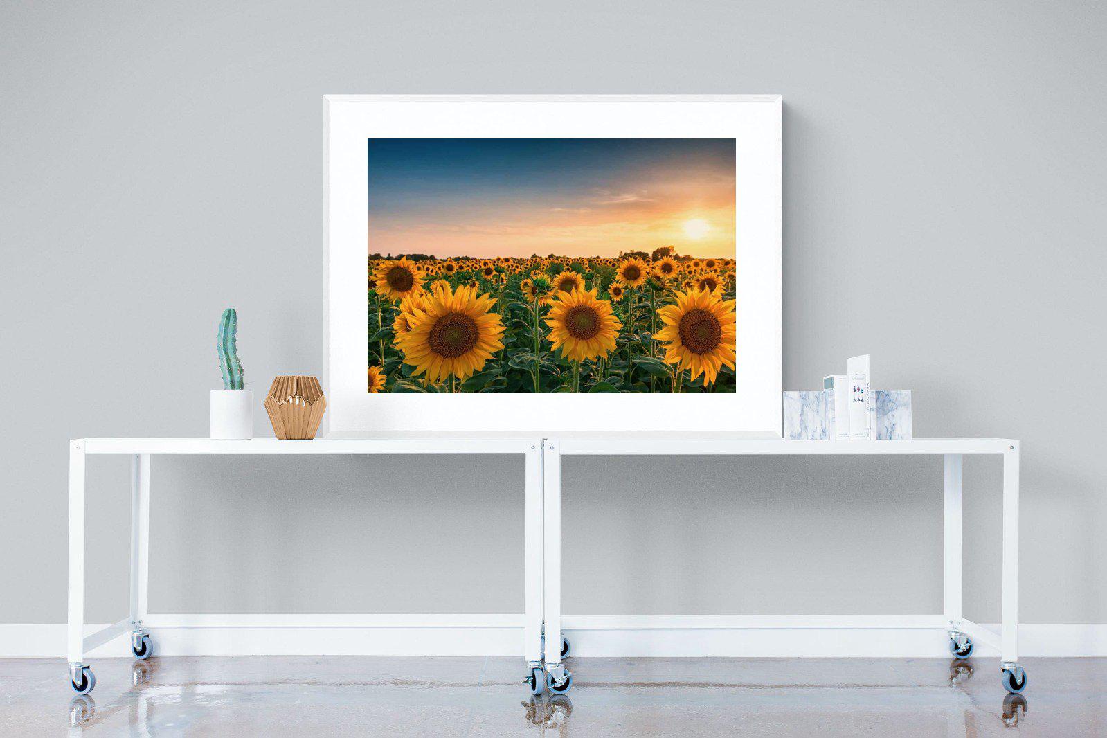 Sunflowers-Wall_Art-120 x 90cm-Framed Print-White-Pixalot