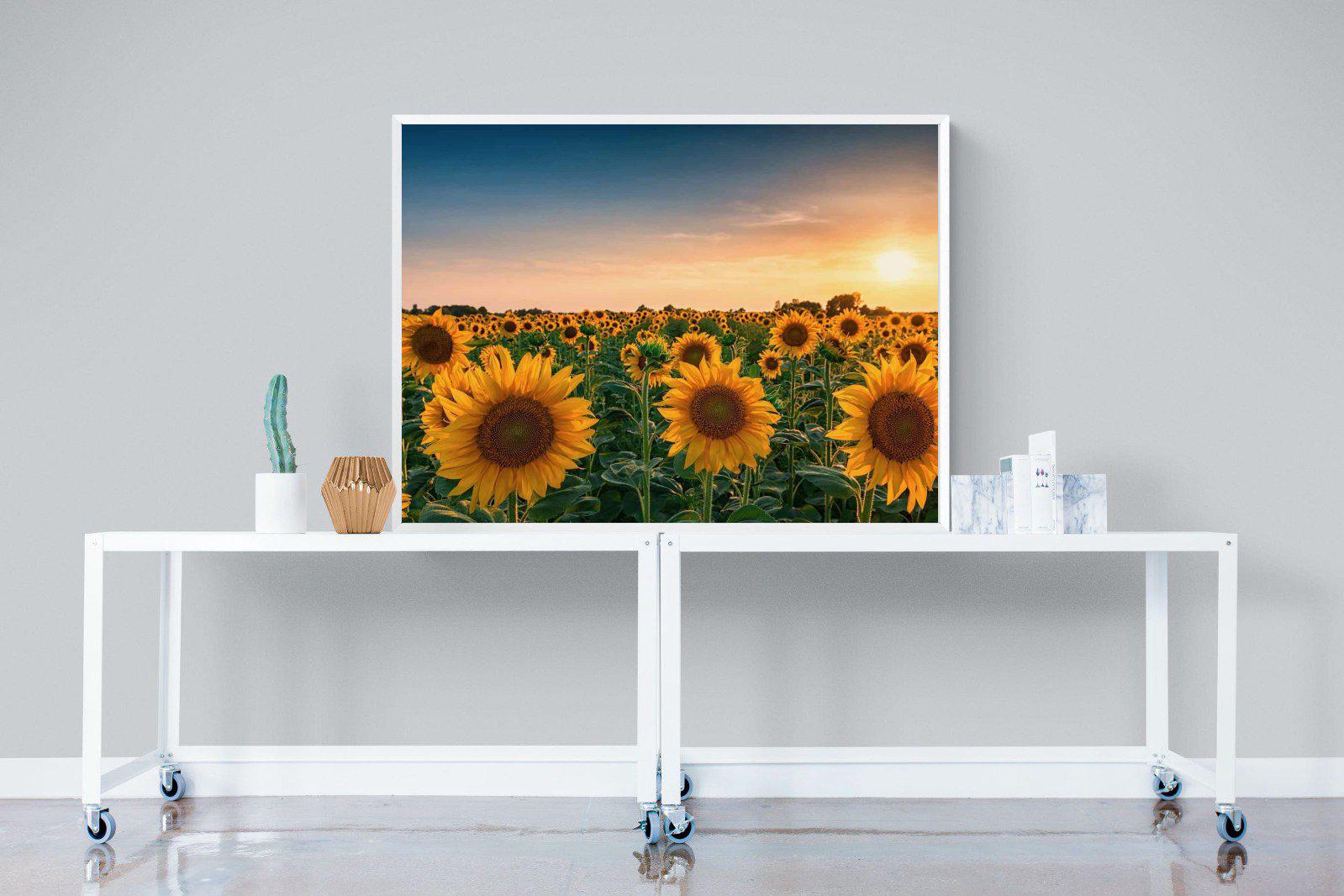 Sunflowers-Wall_Art-120 x 90cm-Mounted Canvas-White-Pixalot