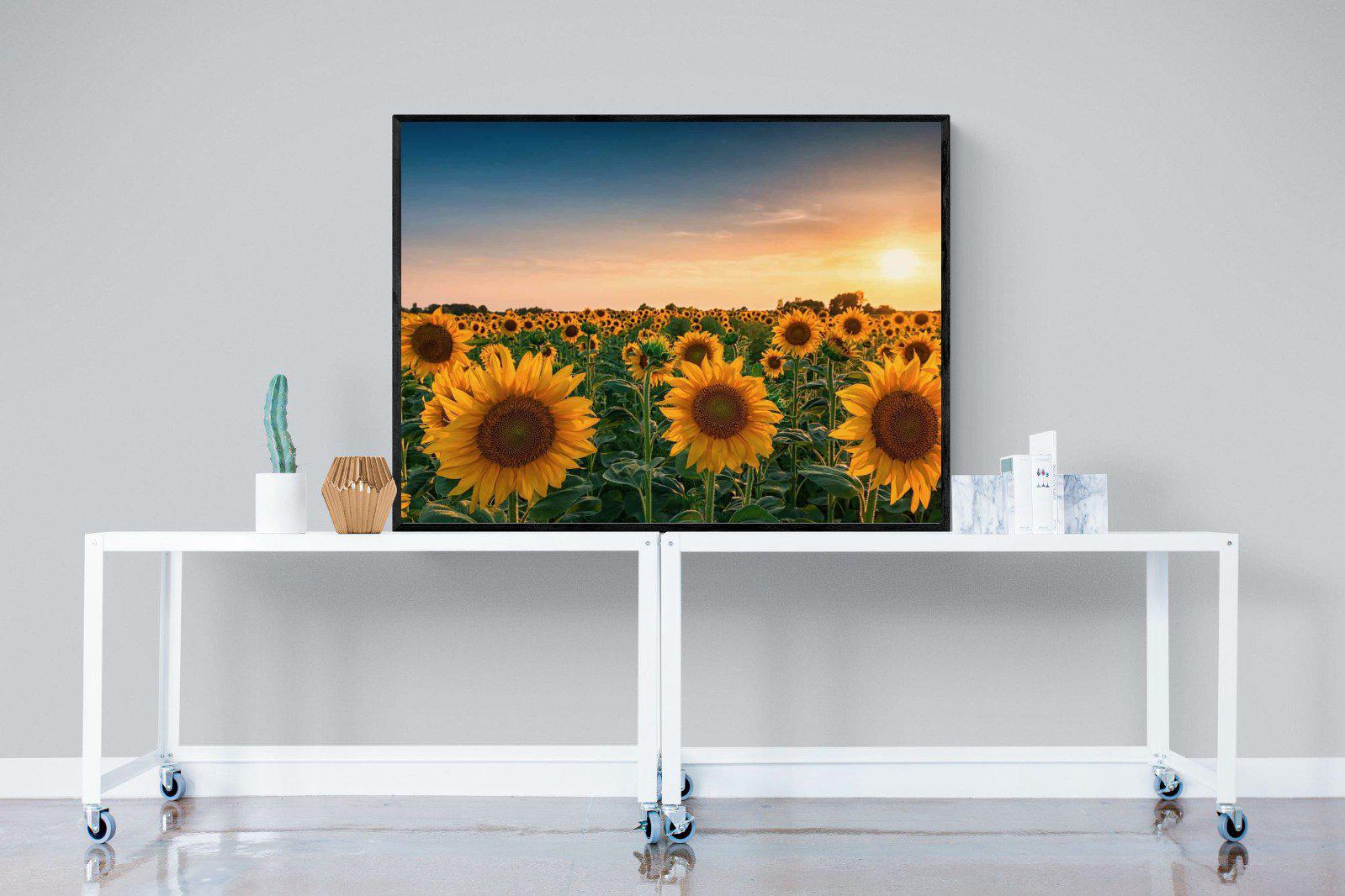 Sunflowers-Wall_Art-120 x 90cm-Mounted Canvas-Black-Pixalot