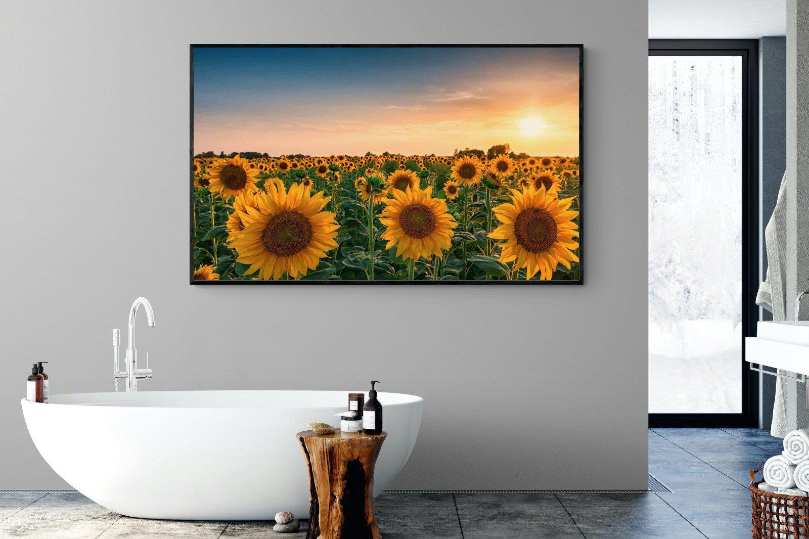Sunflowers-Wall_Art-180 x 110cm-Mounted Canvas-Black-Pixalot