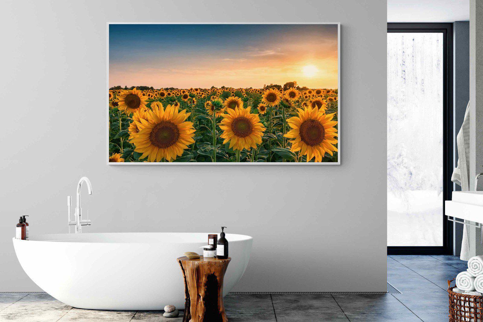 Sunflowers-Wall_Art-180 x 110cm-Mounted Canvas-White-Pixalot