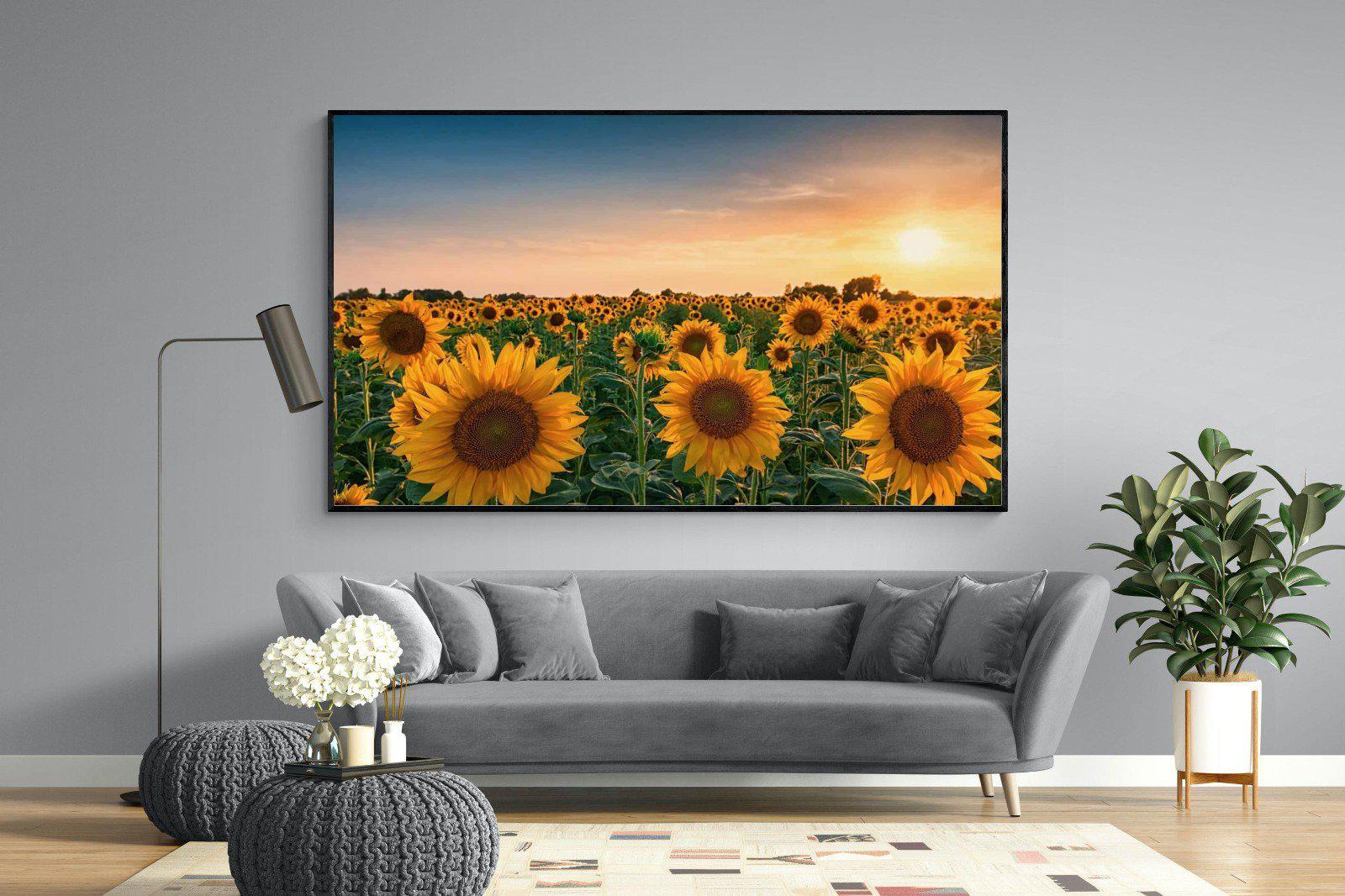 Sunflowers-Wall_Art-220 x 130cm-Mounted Canvas-Black-Pixalot