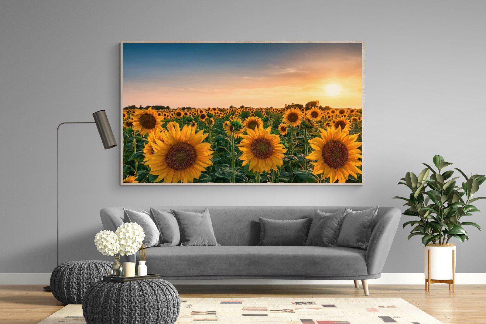 Sunflowers-Wall_Art-220 x 130cm-Mounted Canvas-Wood-Pixalot
