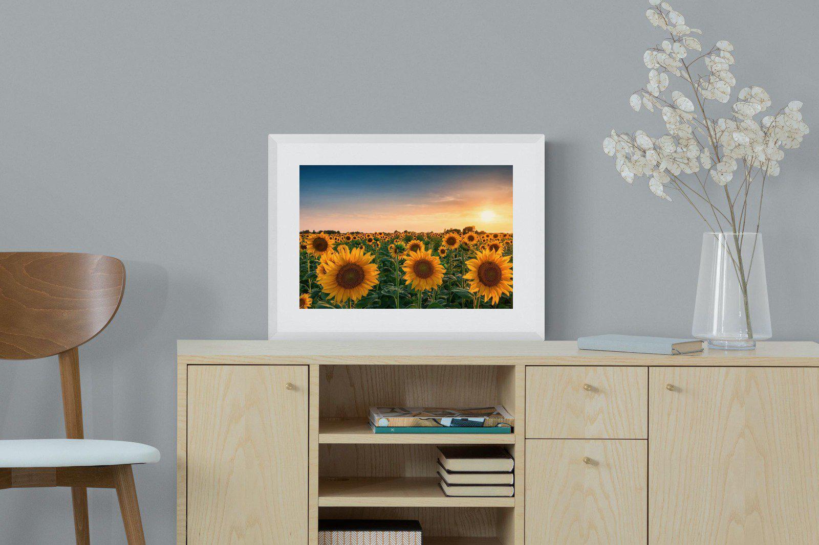 Sunflowers-Wall_Art-60 x 45cm-Framed Print-White-Pixalot