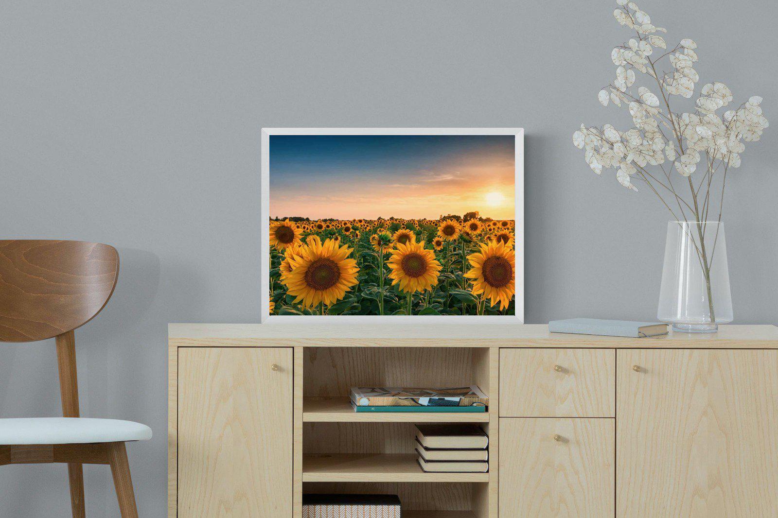 Sunflowers-Wall_Art-60 x 45cm-Mounted Canvas-White-Pixalot