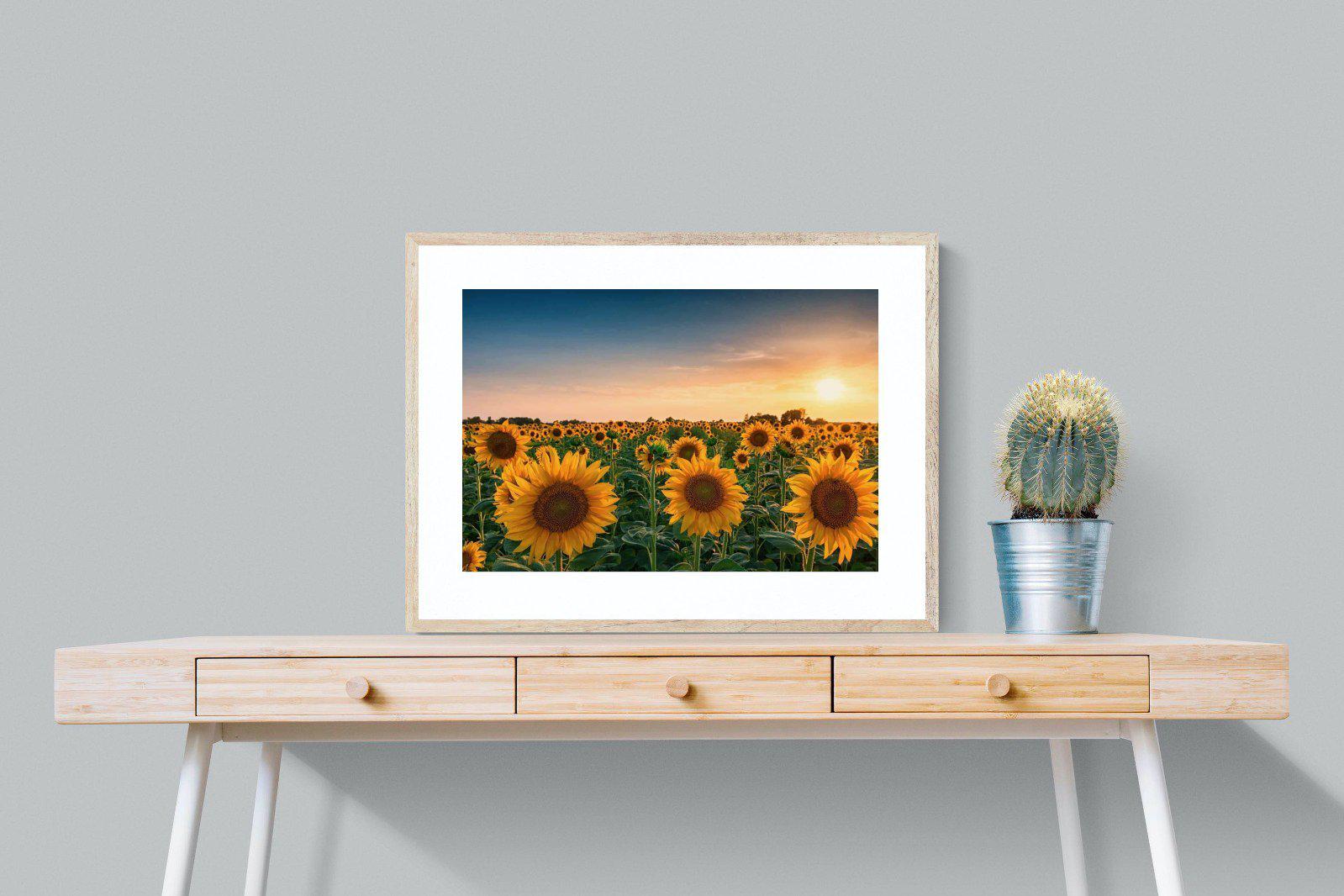 Sunflowers-Wall_Art-80 x 60cm-Framed Print-Wood-Pixalot