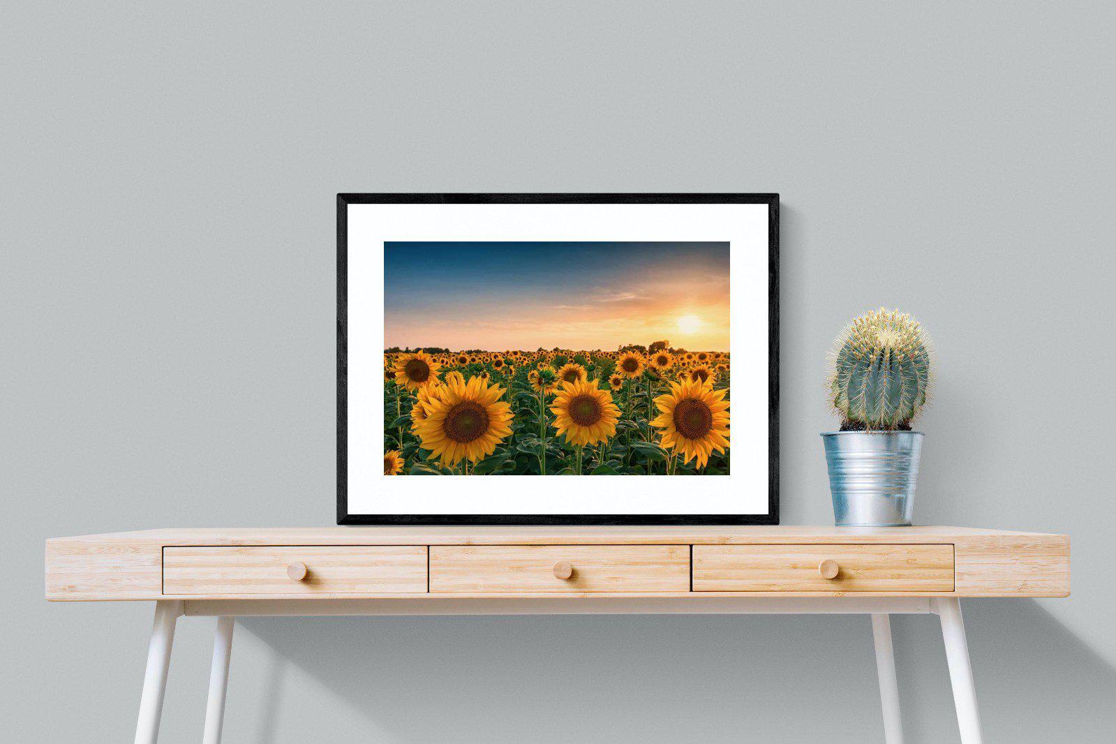 Sunflowers-Wall_Art-80 x 60cm-Framed Print-Black-Pixalot