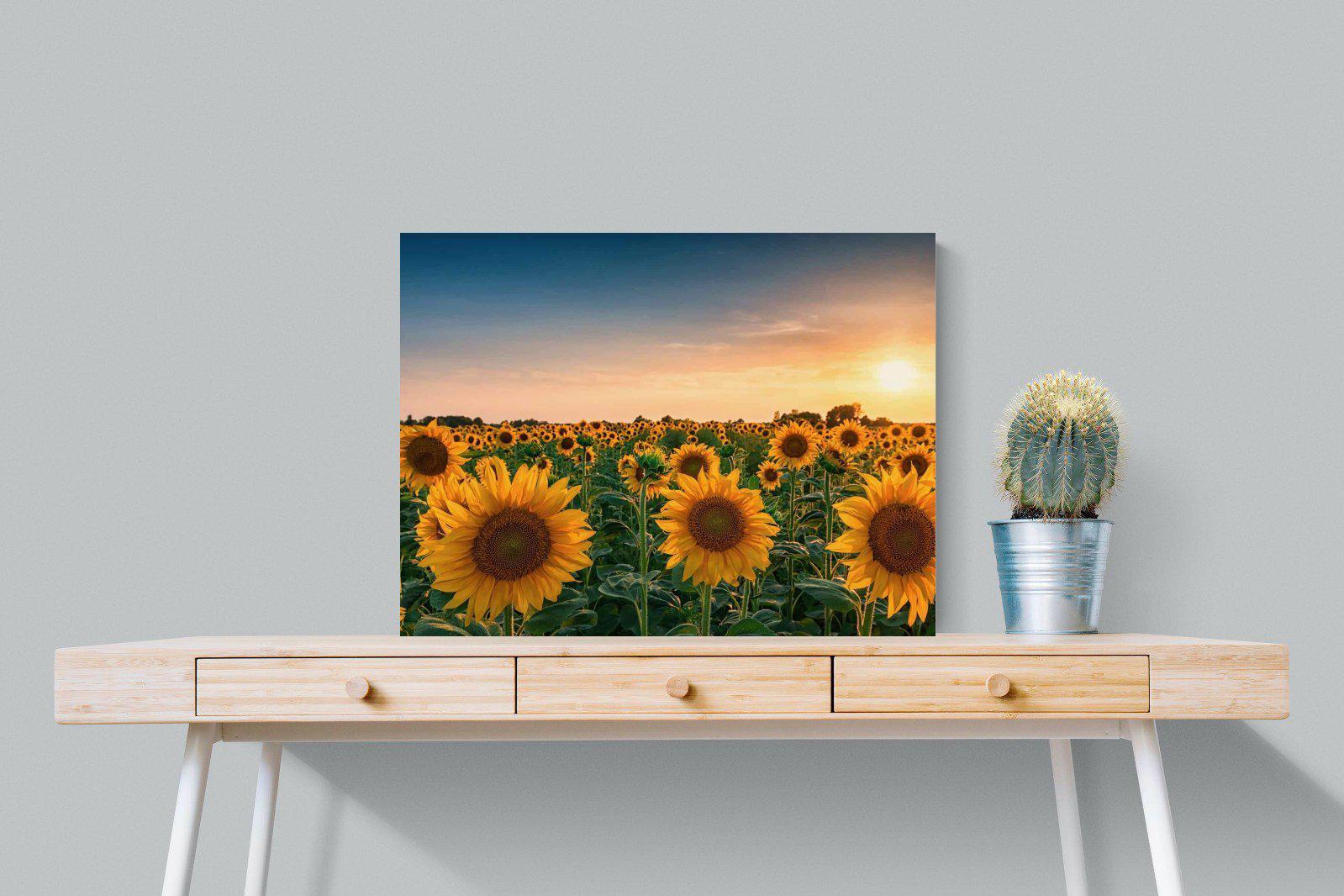 Sunflowers-Wall_Art-80 x 60cm-Mounted Canvas-No Frame-Pixalot