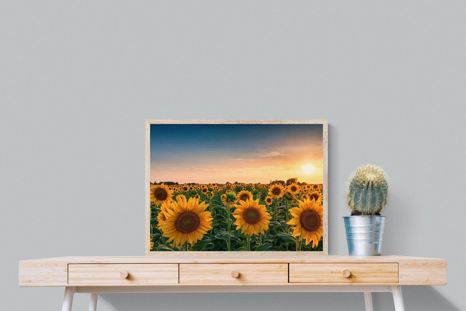 Sunflowers-Wall_Art-80 x 60cm-Mounted Canvas-Wood-Pixalot