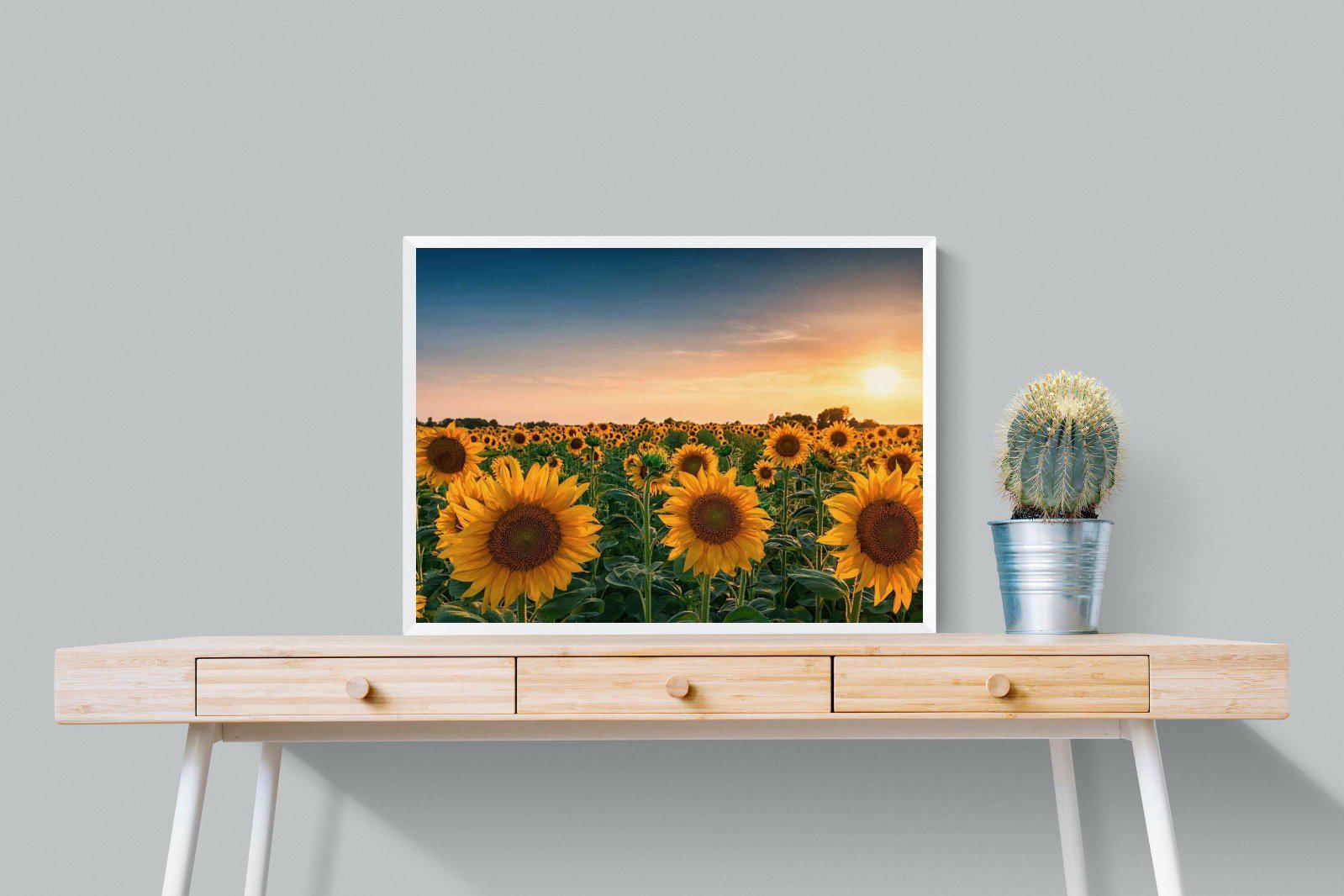 Sunflowers-Wall_Art-80 x 60cm-Mounted Canvas-White-Pixalot