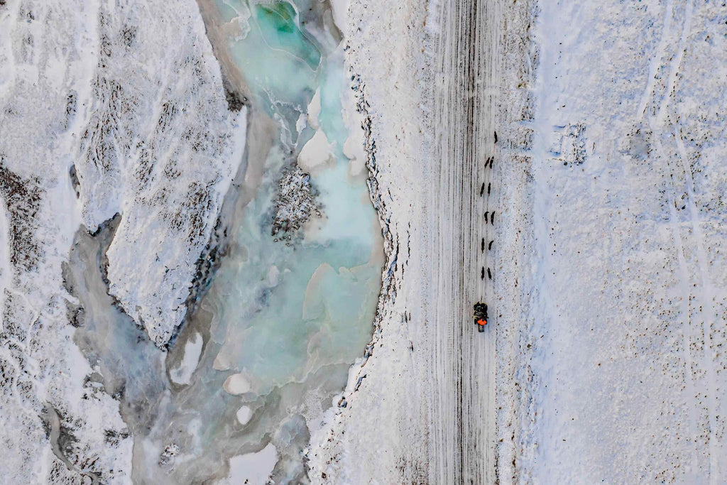 Svalbard-Wall_Art-Pixalot