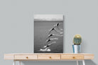Take a Dive-Wall_Art-60 x 80cm-Mounted Canvas-No Frame-Pixalot