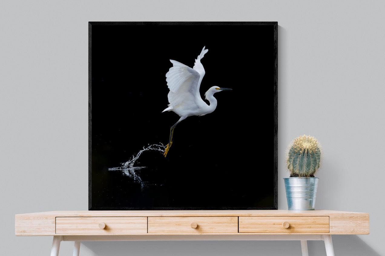 Take to the Air-Wall_Art-100 x 100cm-Mounted Canvas-Black-Pixalot
