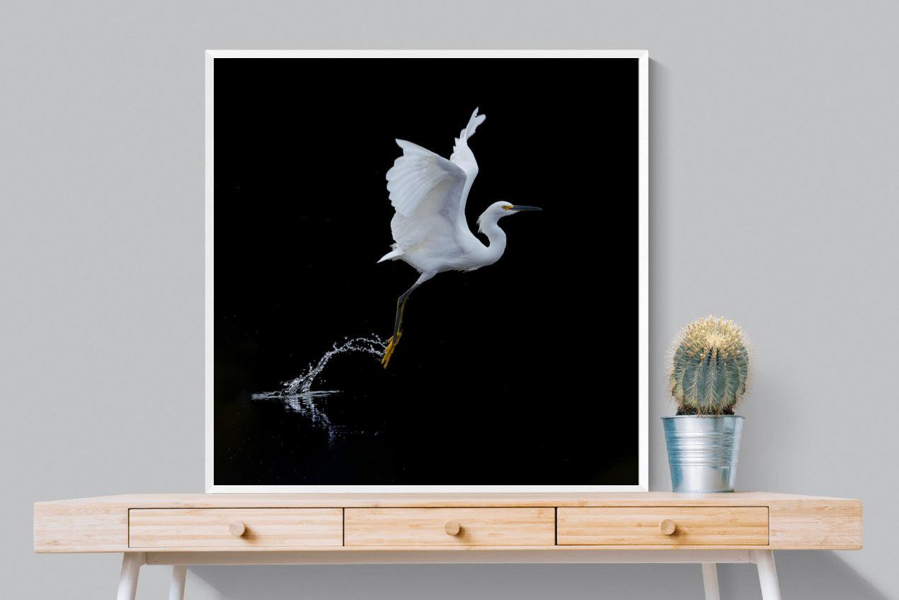 Take to the Air-Wall_Art-100 x 100cm-Mounted Canvas-White-Pixalot
