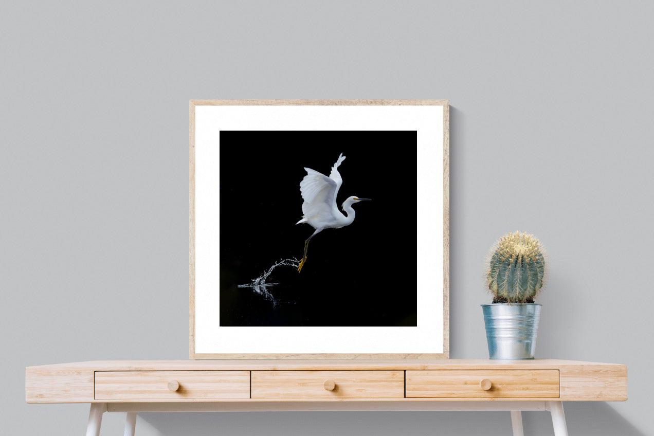 Take to the Air-Wall_Art-80 x 80cm-Framed Print-Wood-Pixalot