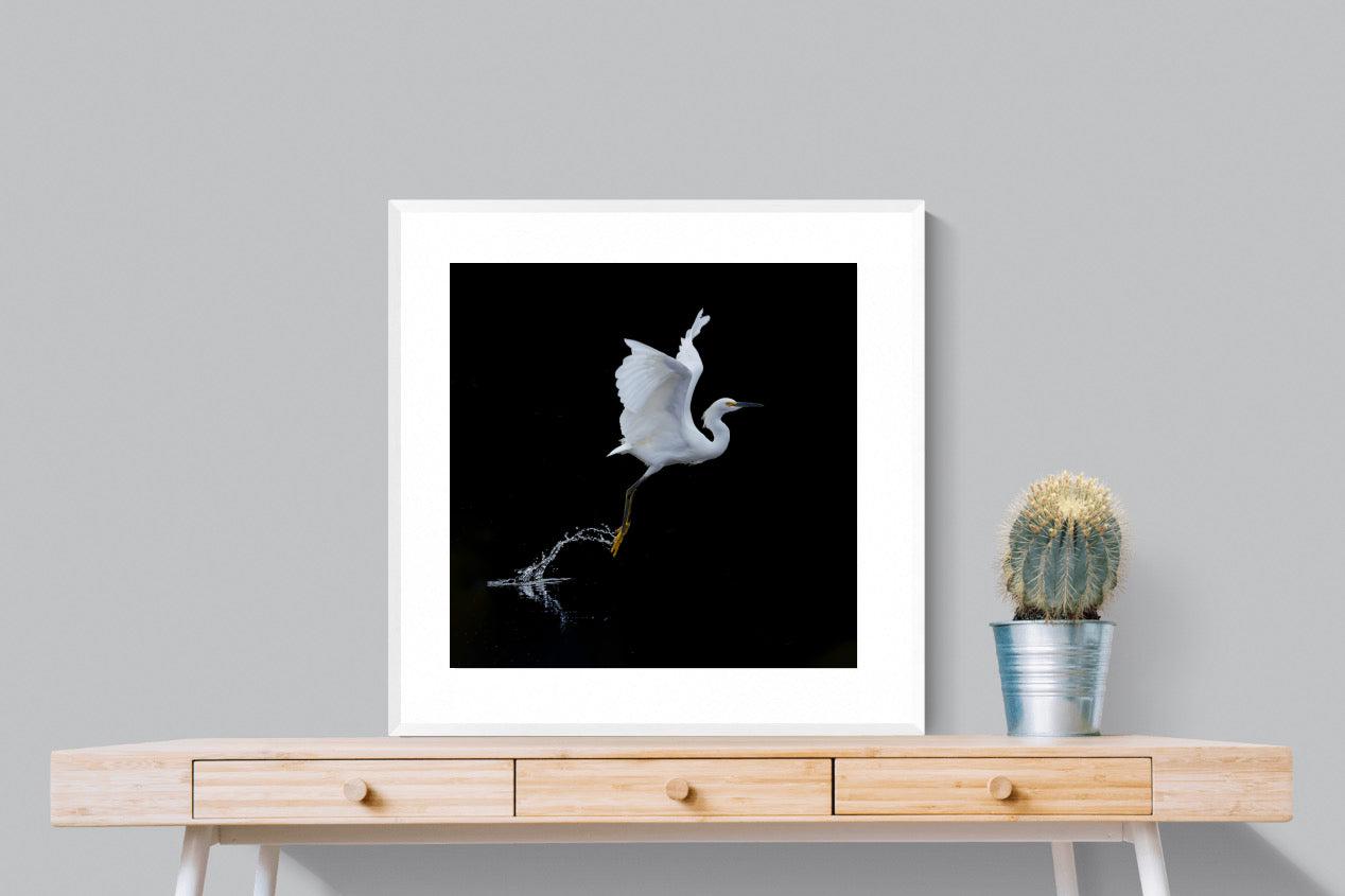 Take to the Air-Wall_Art-80 x 80cm-Framed Print-White-Pixalot