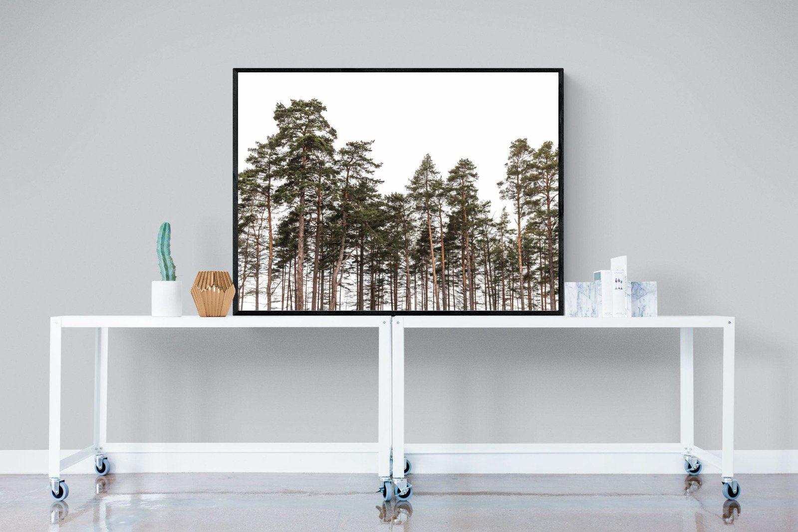 Tall Pines-Wall_Art-120 x 90cm-Mounted Canvas-Black-Pixalot