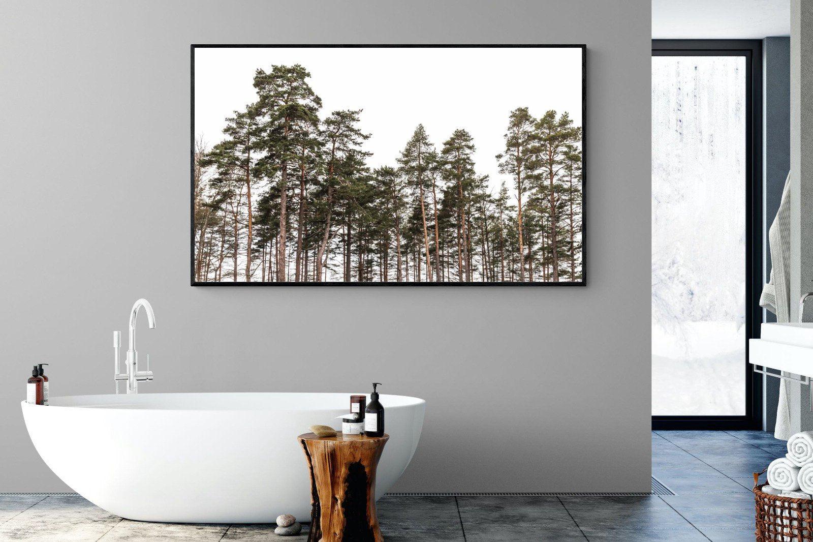 Tall Pines-Wall_Art-180 x 110cm-Mounted Canvas-Black-Pixalot