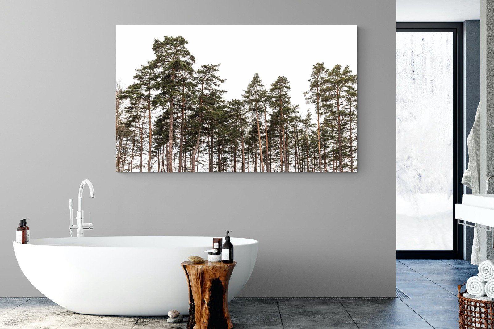 Tall Pines-Wall_Art-180 x 110cm-Mounted Canvas-No Frame-Pixalot