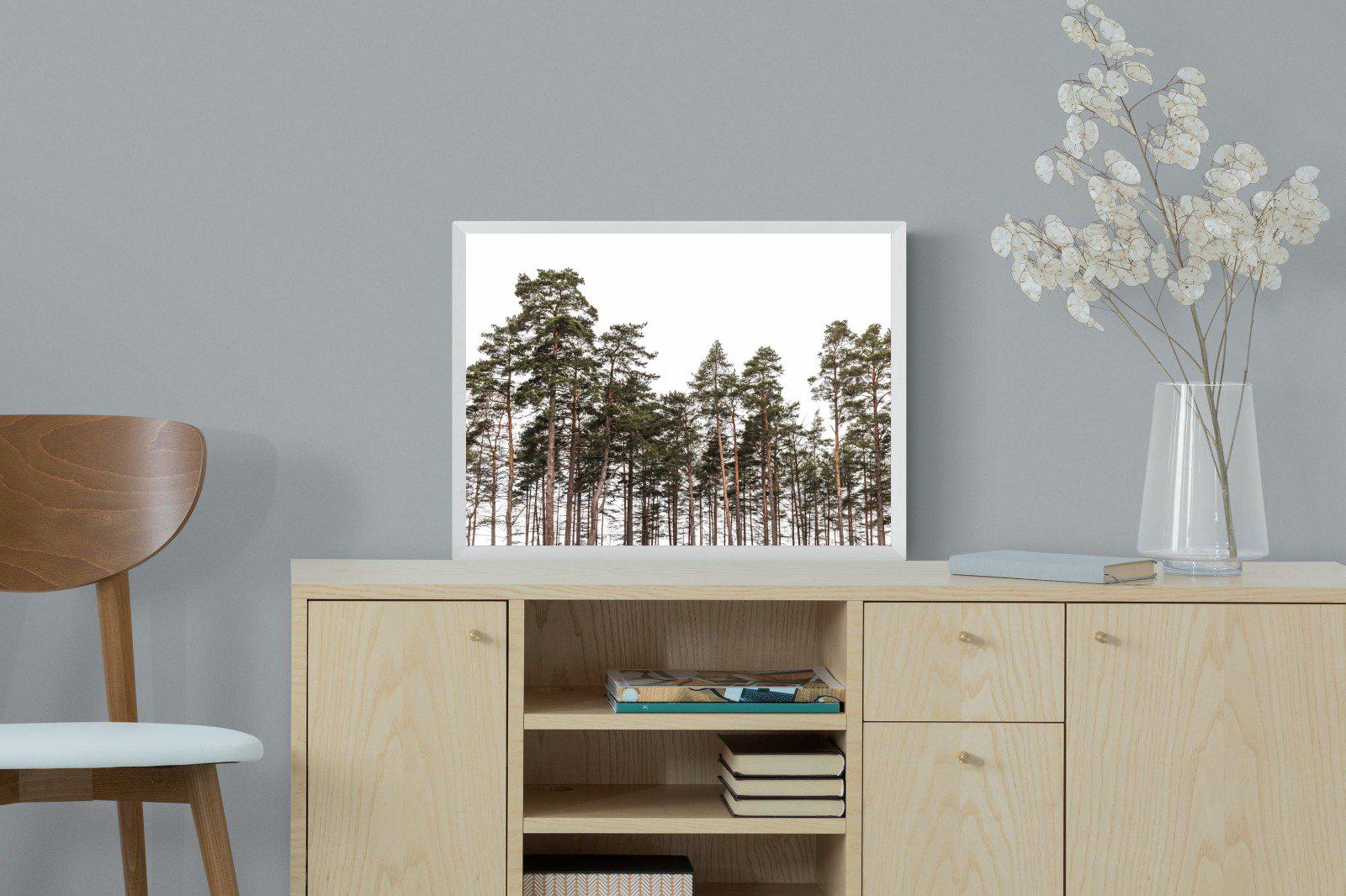 Tall Pines-Wall_Art-60 x 45cm-Mounted Canvas-White-Pixalot