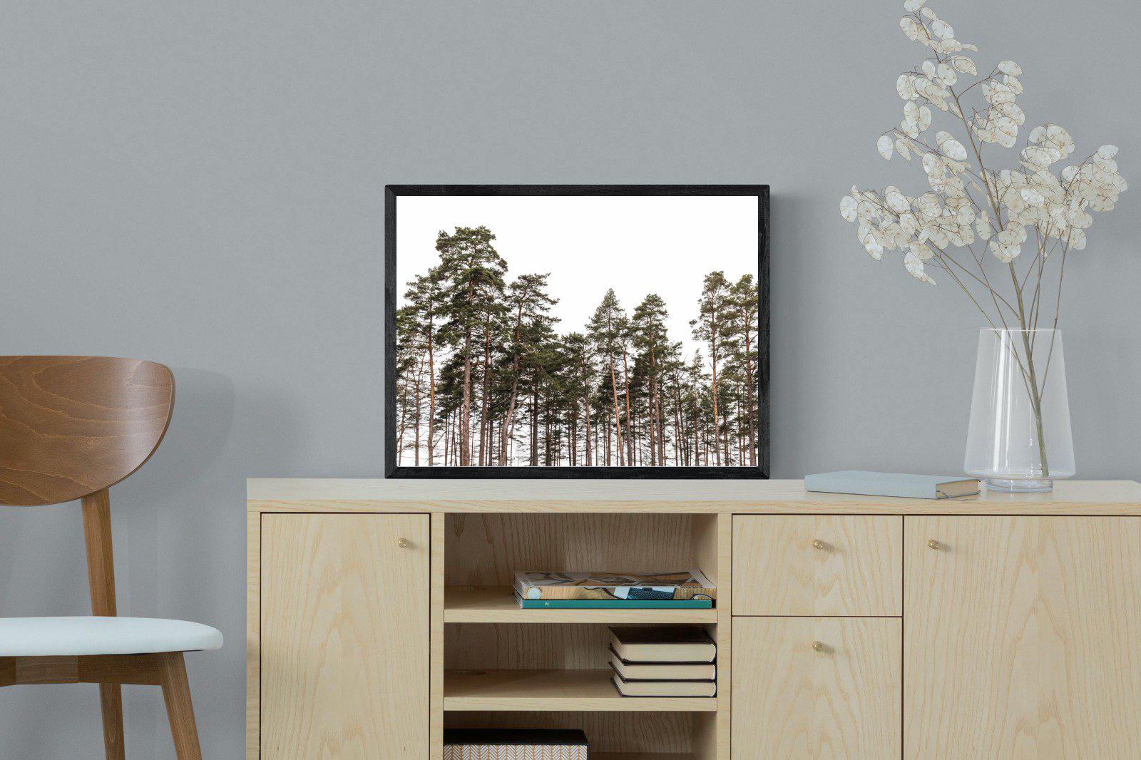 Tall Pines-Wall_Art-60 x 45cm-Mounted Canvas-Black-Pixalot