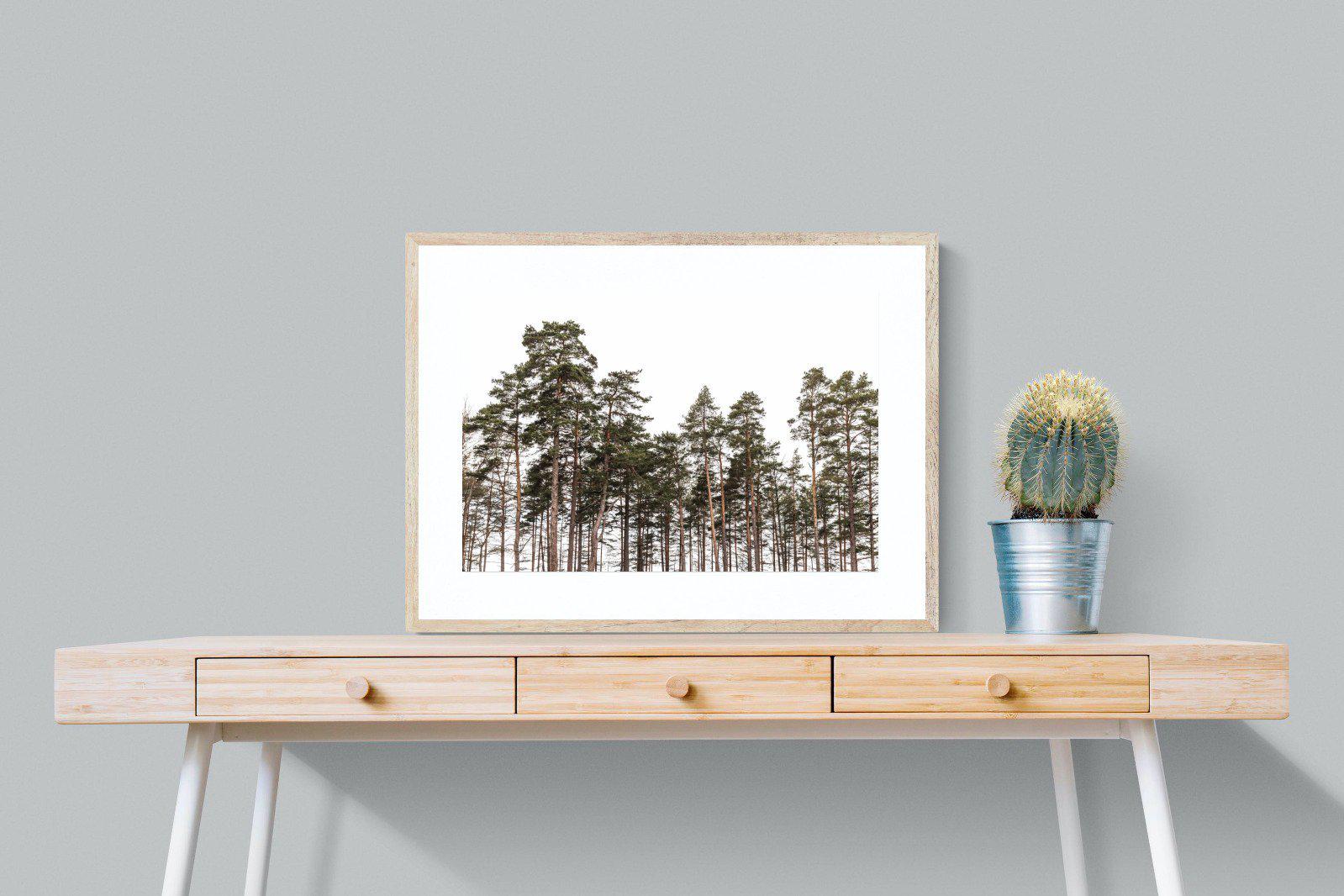 Tall Pines-Wall_Art-80 x 60cm-Framed Print-Wood-Pixalot