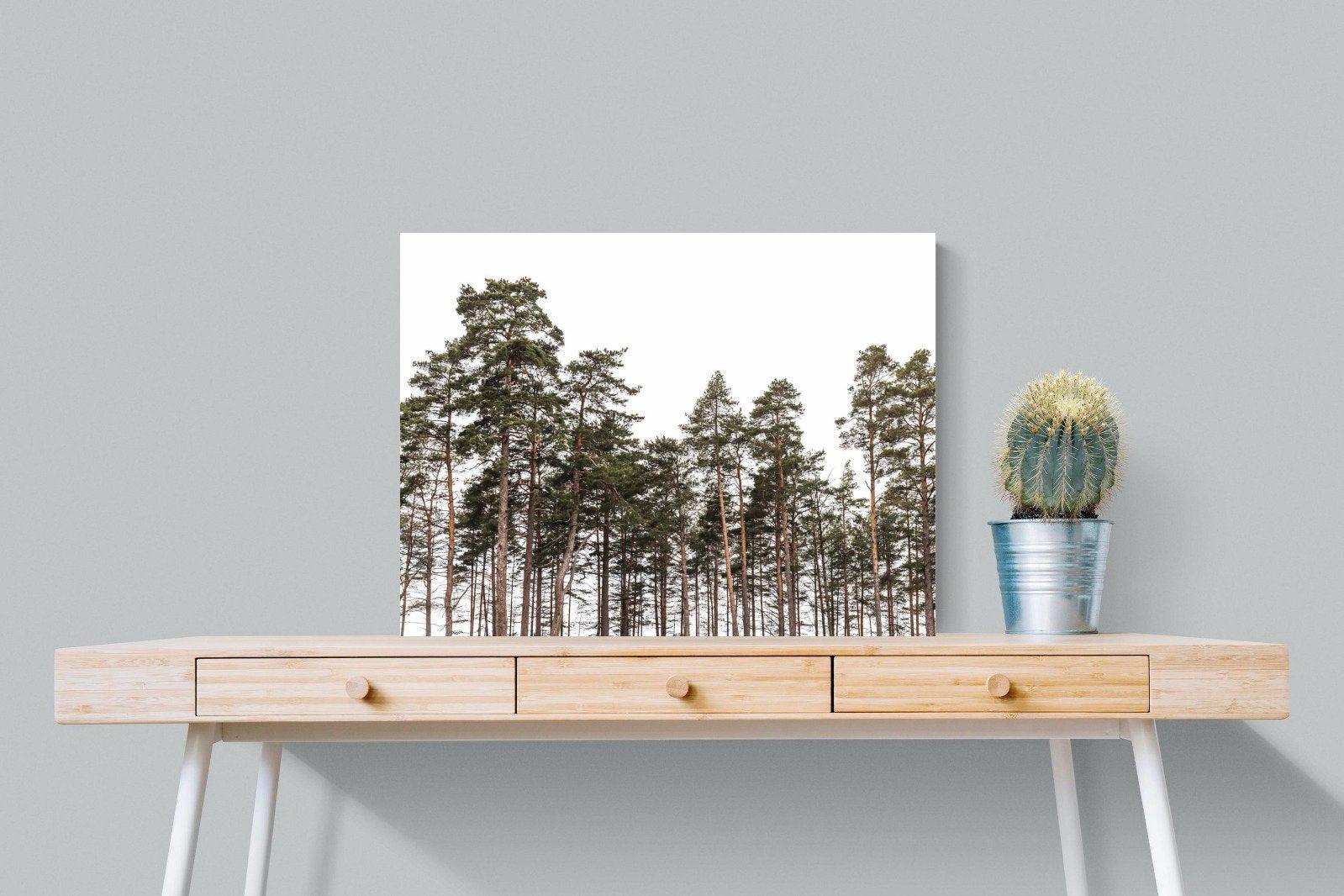 Tall Pines-Wall_Art-80 x 60cm-Mounted Canvas-No Frame-Pixalot