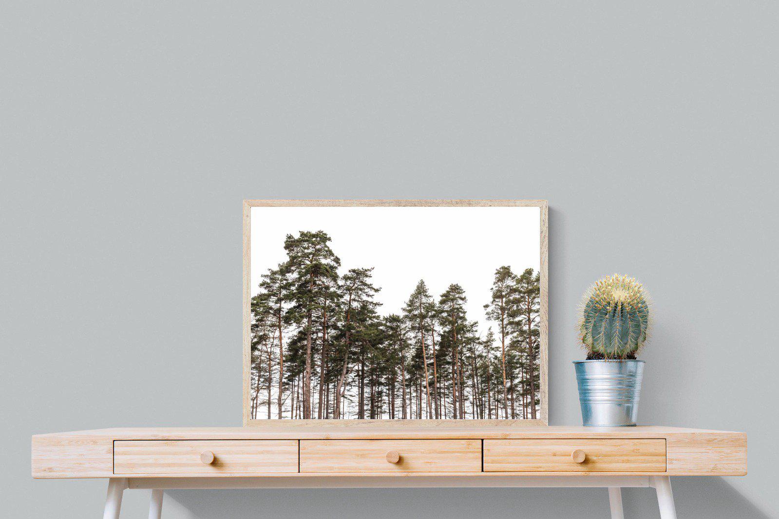 Tall Pines-Wall_Art-80 x 60cm-Mounted Canvas-Wood-Pixalot