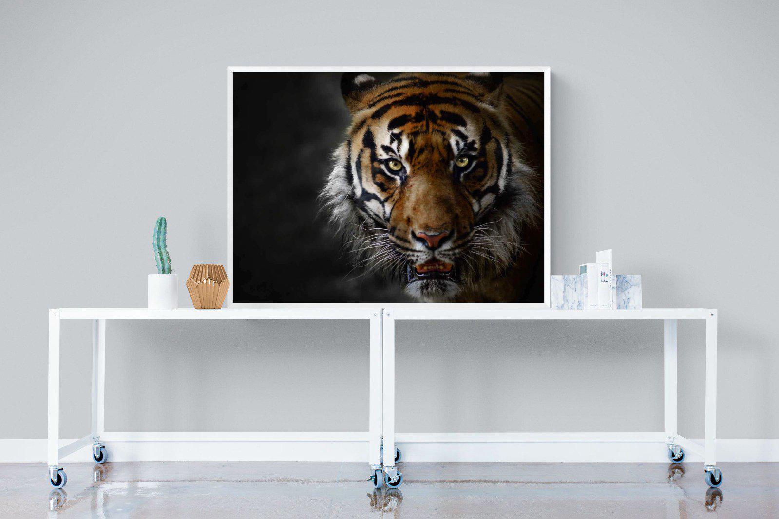 Tiger-Wall_Art-120 x 90cm-Mounted Canvas-White-Pixalot