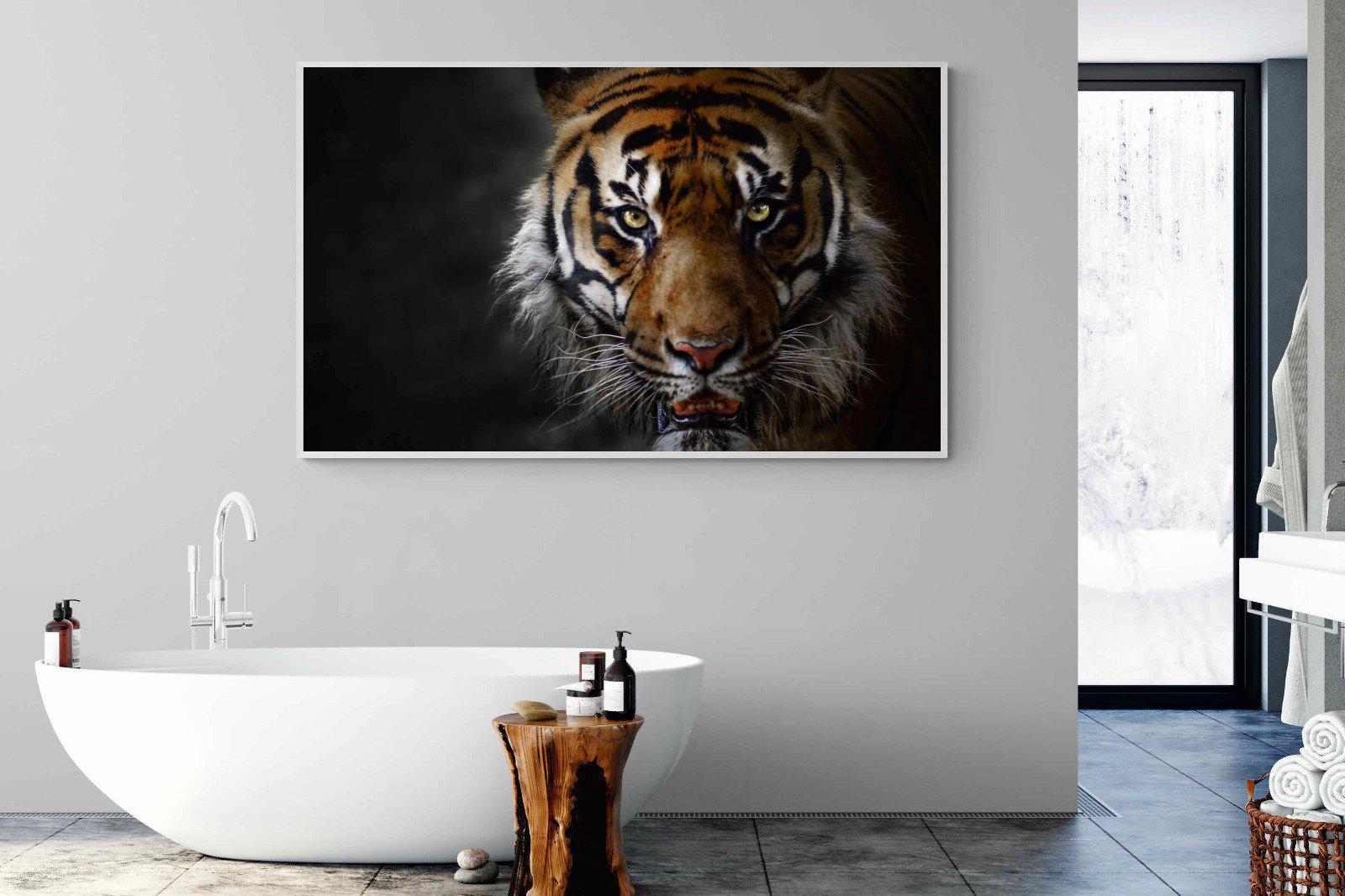 Tiger-Wall_Art-180 x 110cm-Mounted Canvas-White-Pixalot
