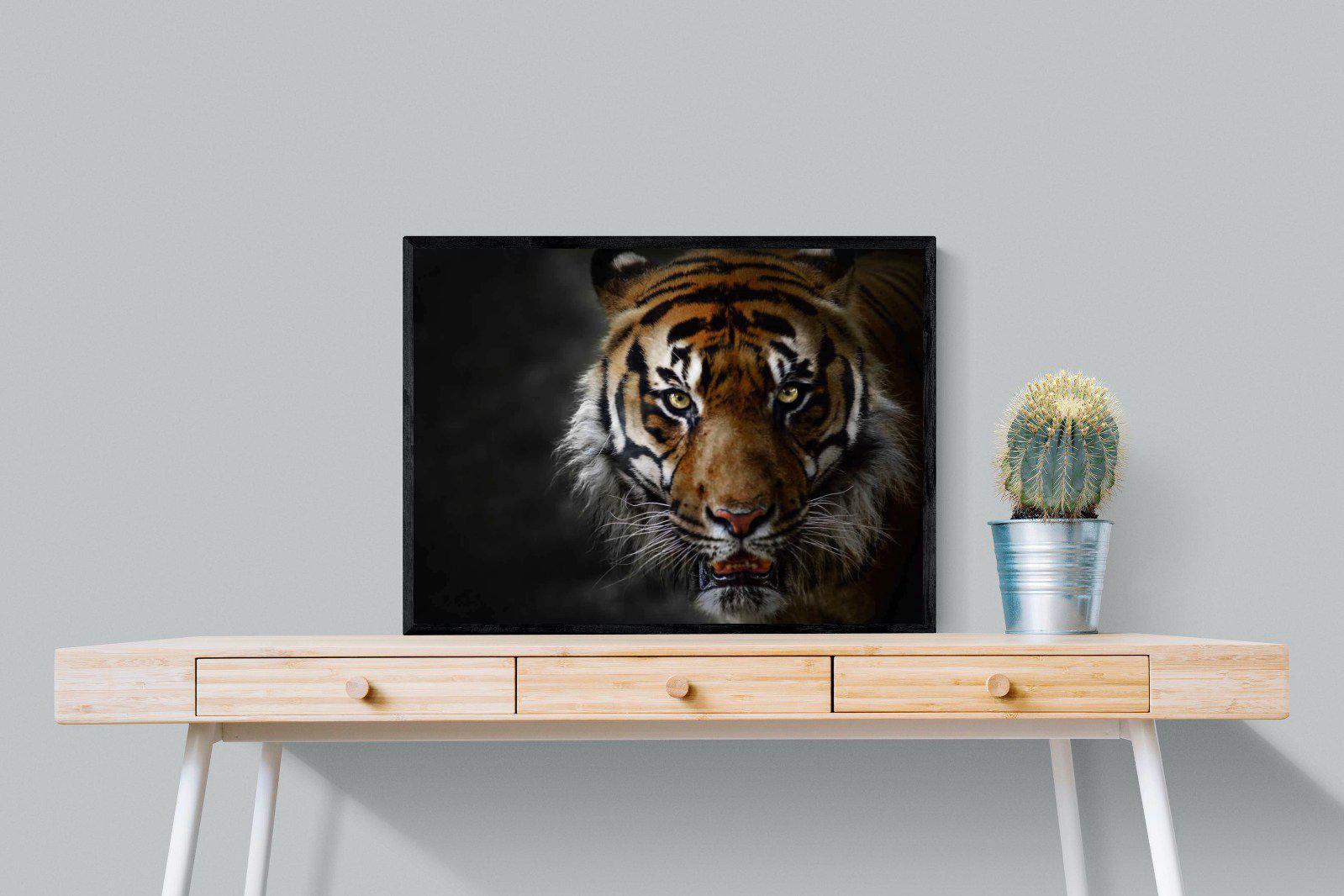Tiger-Wall_Art-80 x 60cm-Mounted Canvas-Black-Pixalot