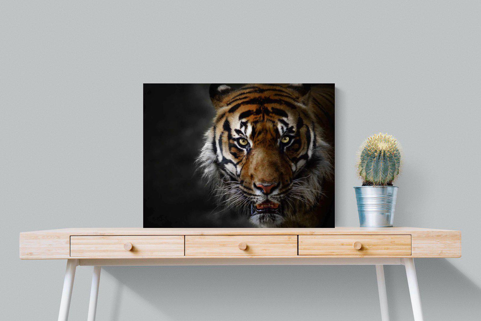 Tiger-Wall_Art-80 x 60cm-Mounted Canvas-No Frame-Pixalot