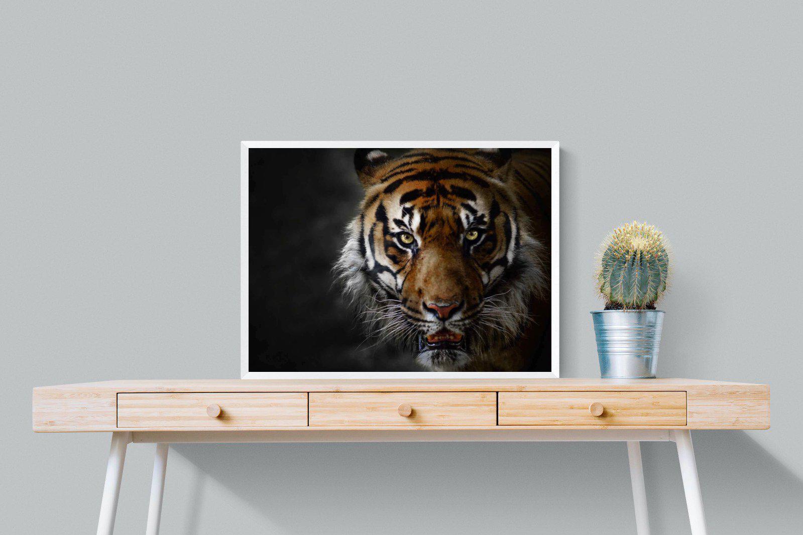 Tiger-Wall_Art-80 x 60cm-Mounted Canvas-White-Pixalot