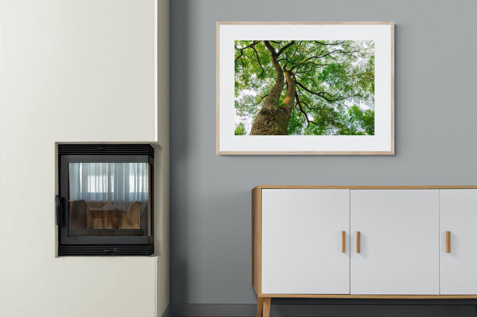 Tree Canopy-Wall_Art-100 x 75cm-Framed Print-Wood-Pixalot