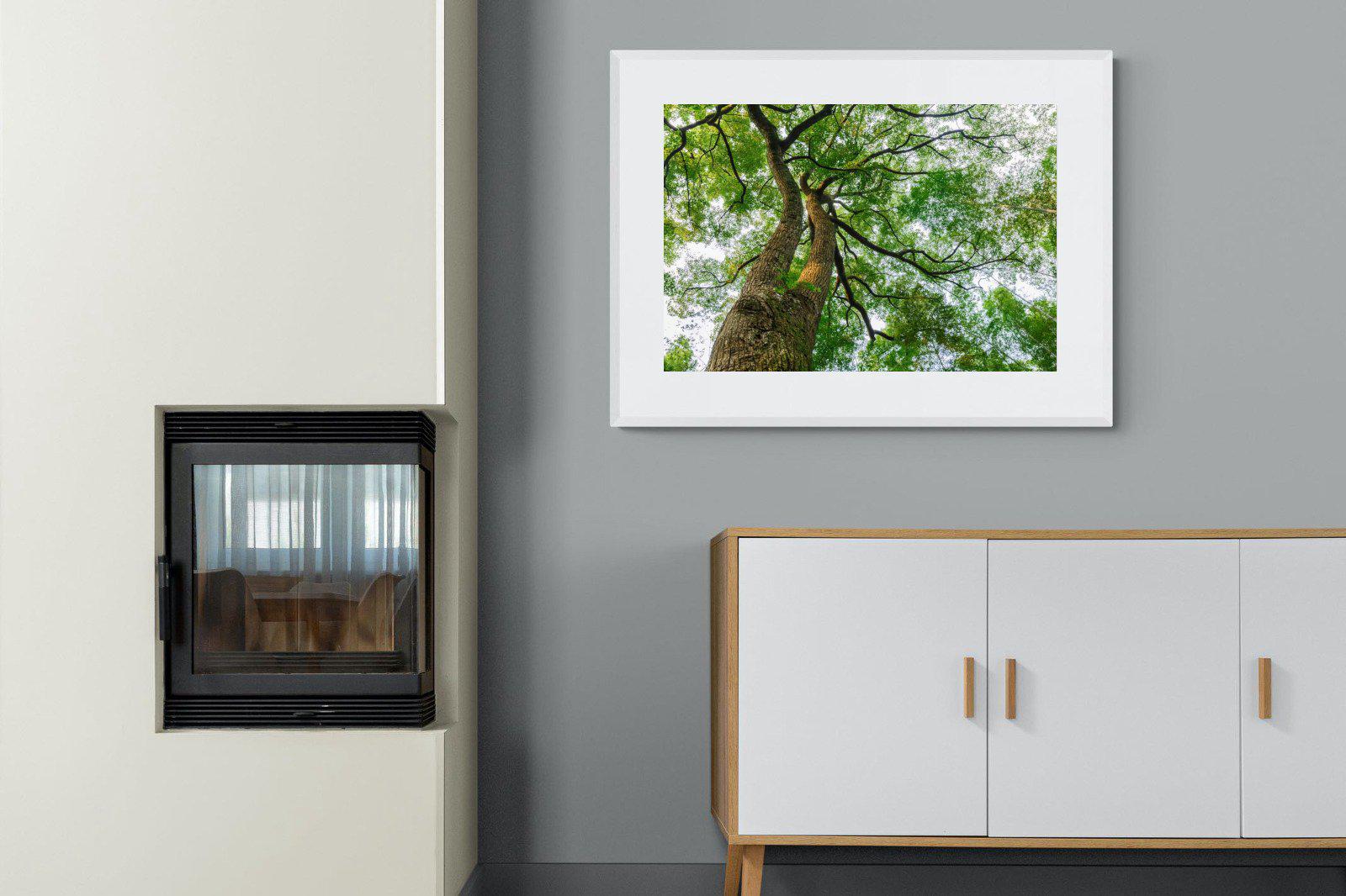 Tree Canopy-Wall_Art-100 x 75cm-Framed Print-White-Pixalot