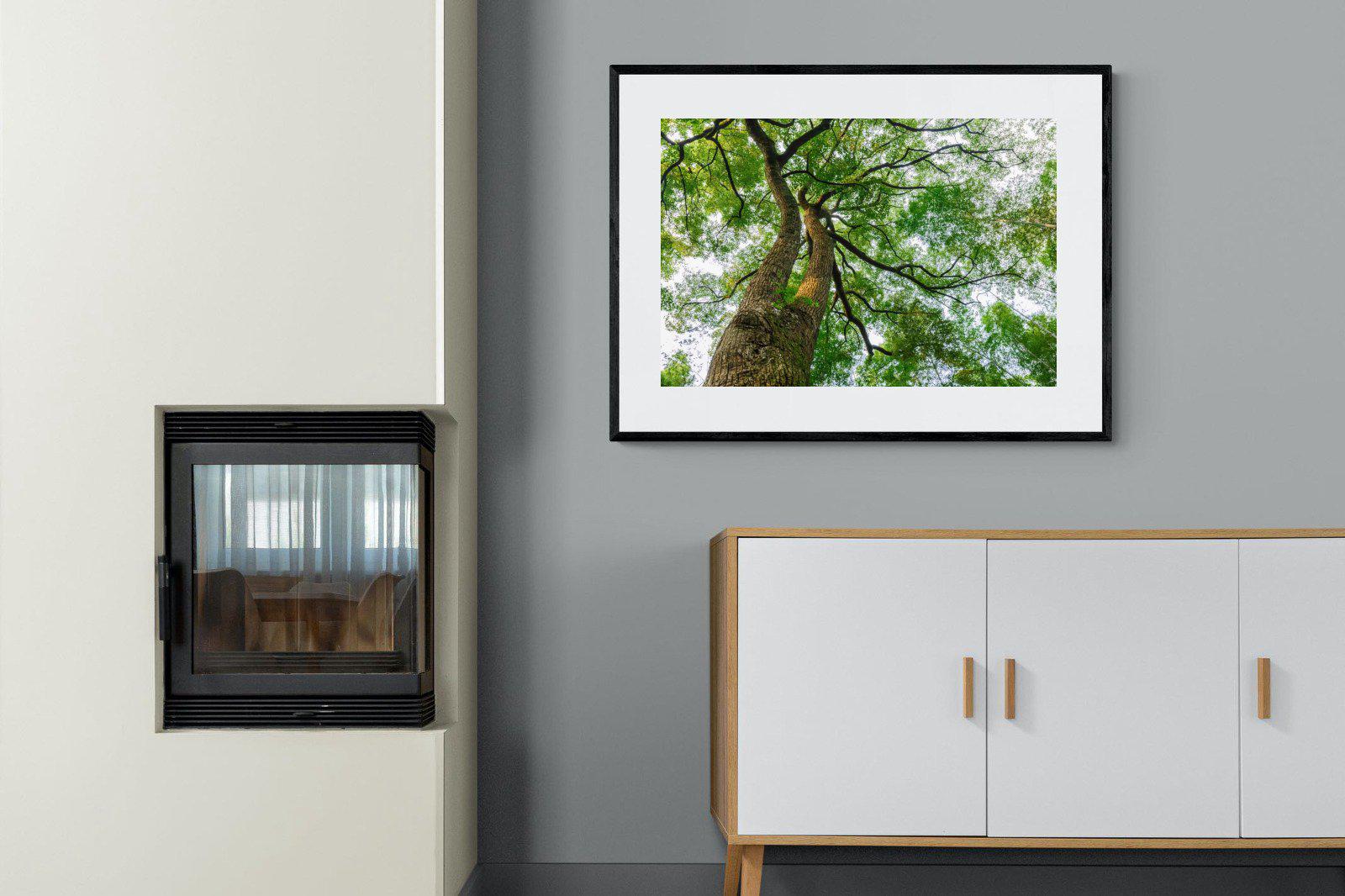 Tree Canopy-Wall_Art-100 x 75cm-Framed Print-Black-Pixalot