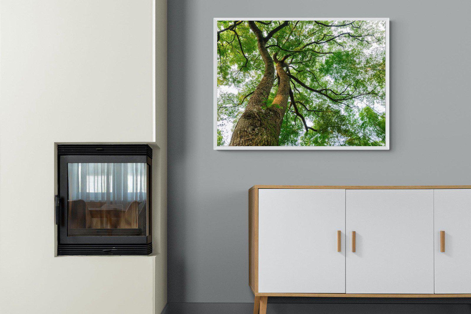Tree Canopy-Wall_Art-100 x 75cm-Mounted Canvas-White-Pixalot