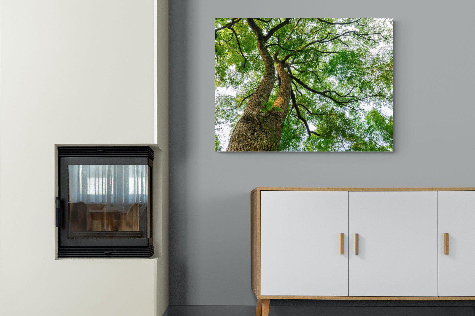 Tree Canopy-Wall_Art-100 x 75cm-Mounted Canvas-No Frame-Pixalot