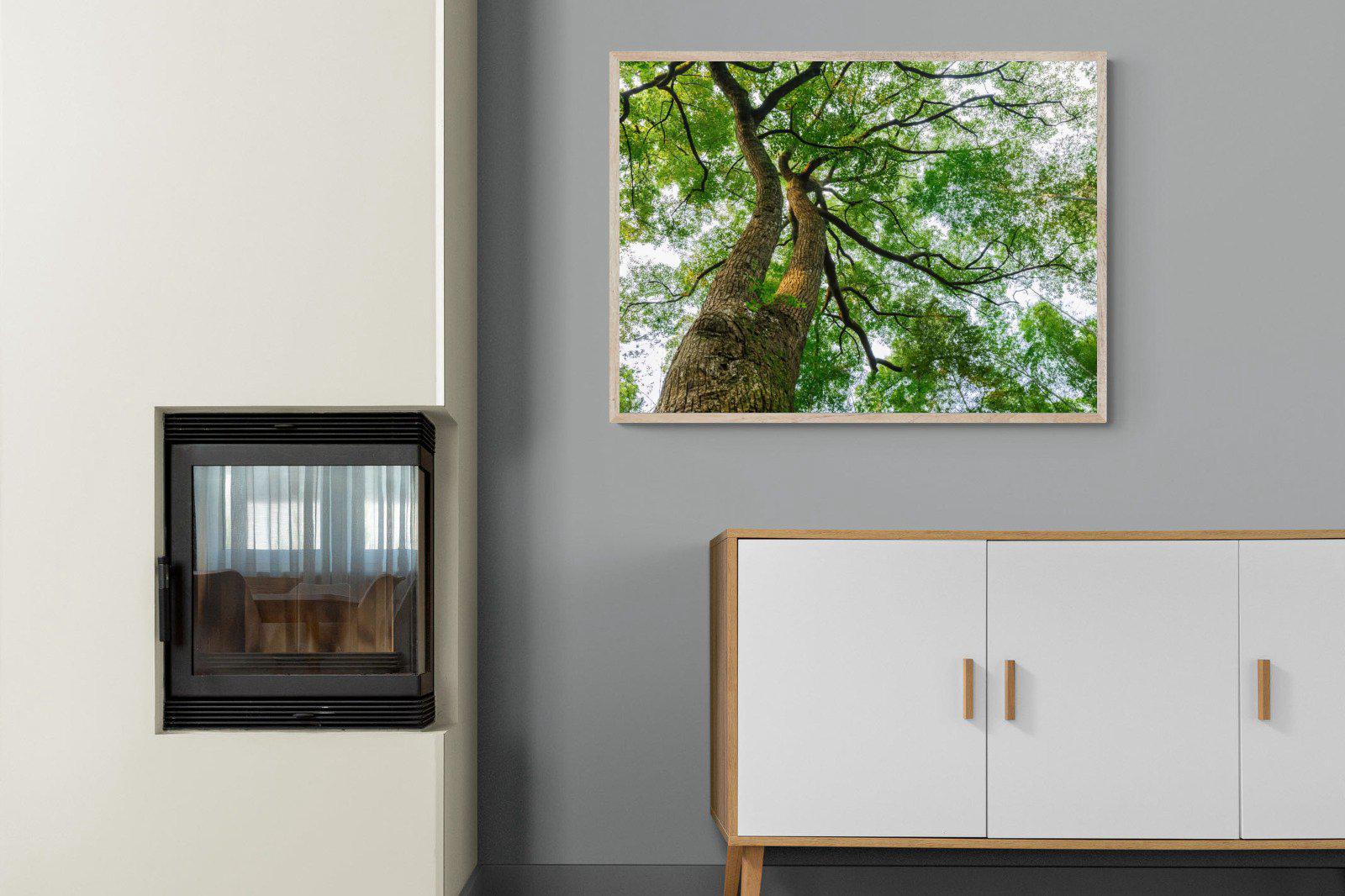 Tree Canopy-Wall_Art-100 x 75cm-Mounted Canvas-Wood-Pixalot