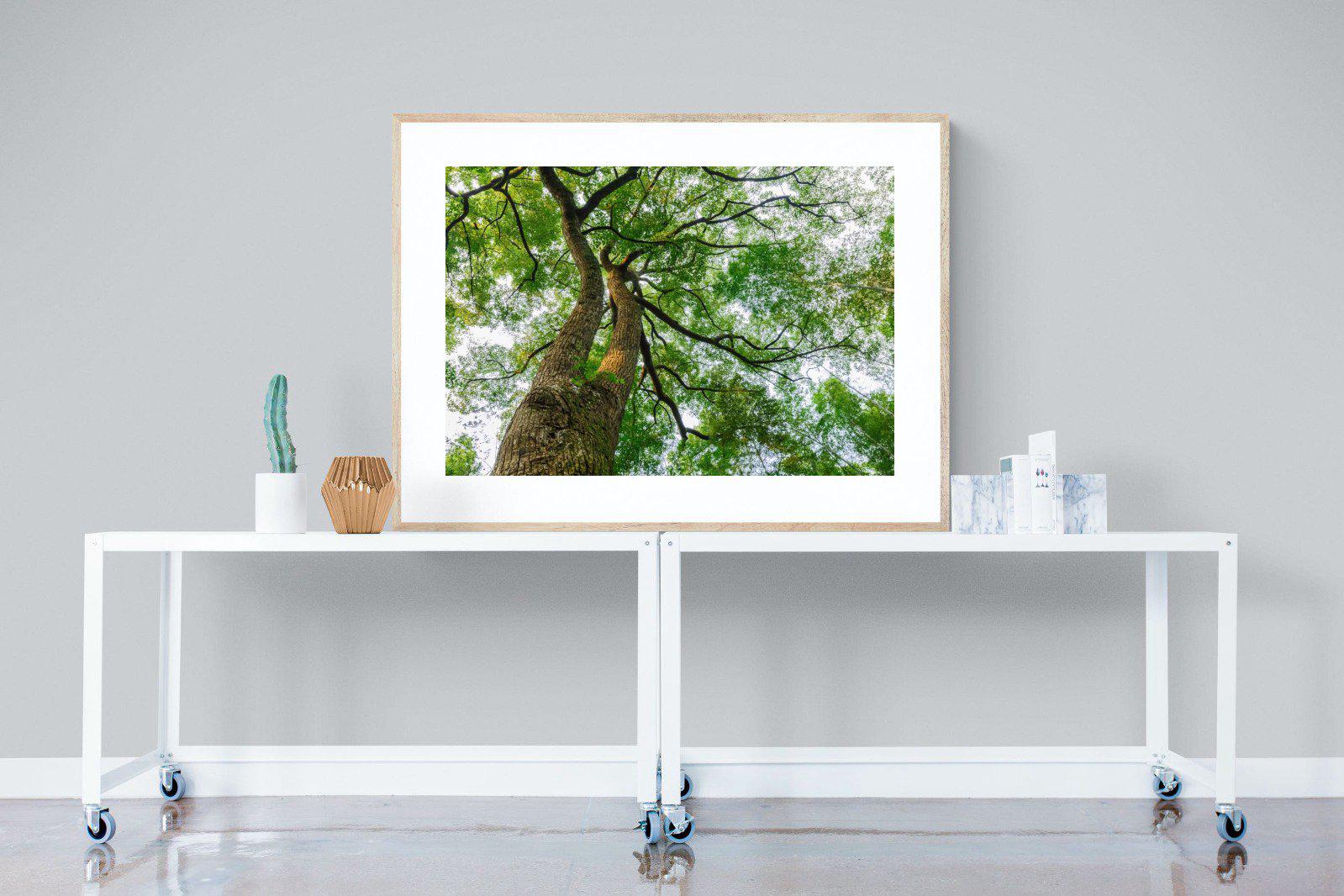 Tree Canopy-Wall_Art-120 x 90cm-Framed Print-Wood-Pixalot