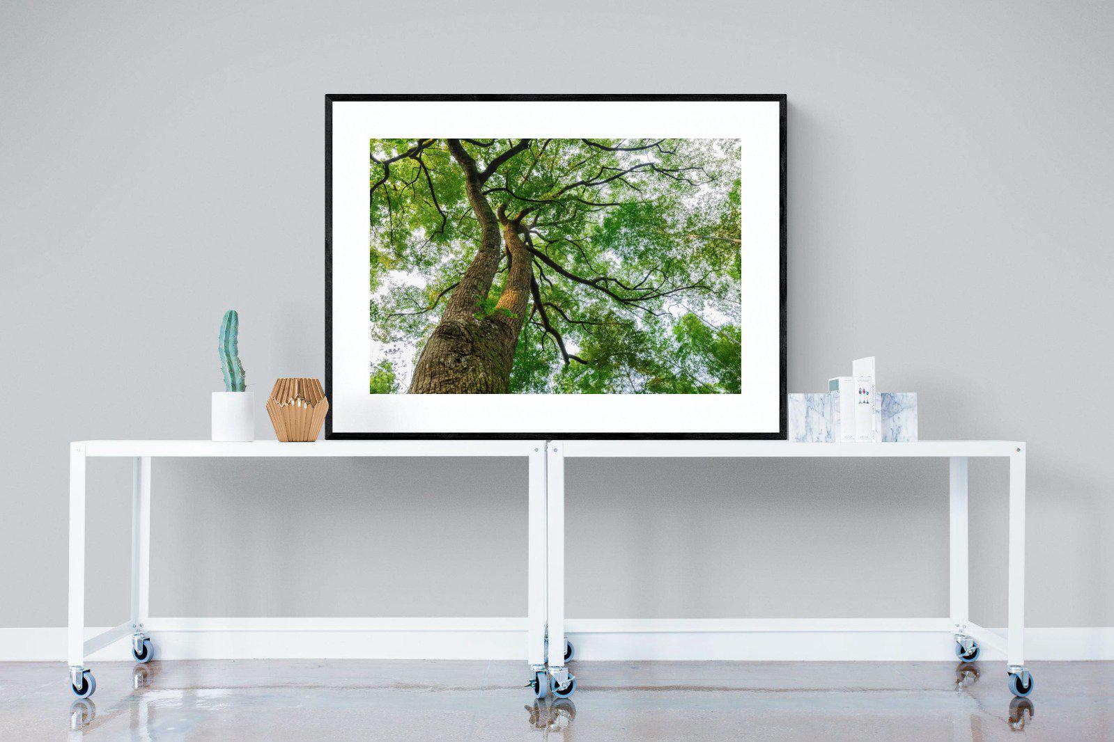 Tree Canopy-Wall_Art-120 x 90cm-Framed Print-Black-Pixalot