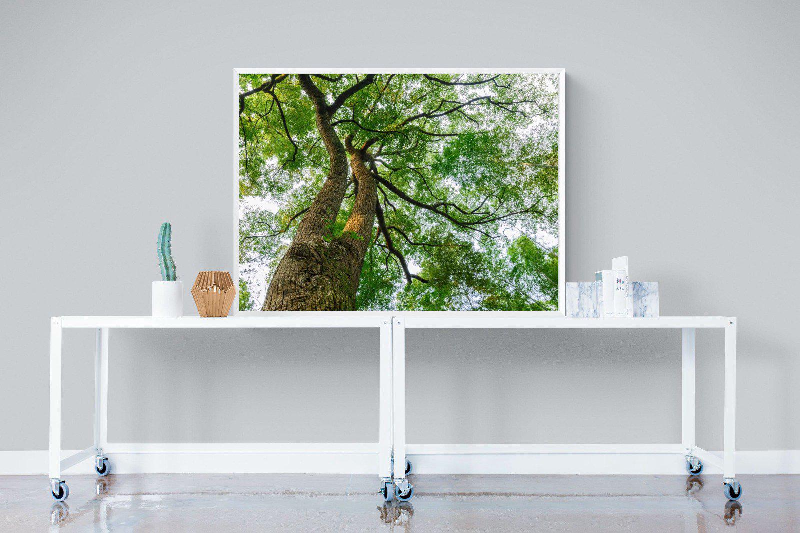 Tree Canopy-Wall_Art-120 x 90cm-Mounted Canvas-White-Pixalot