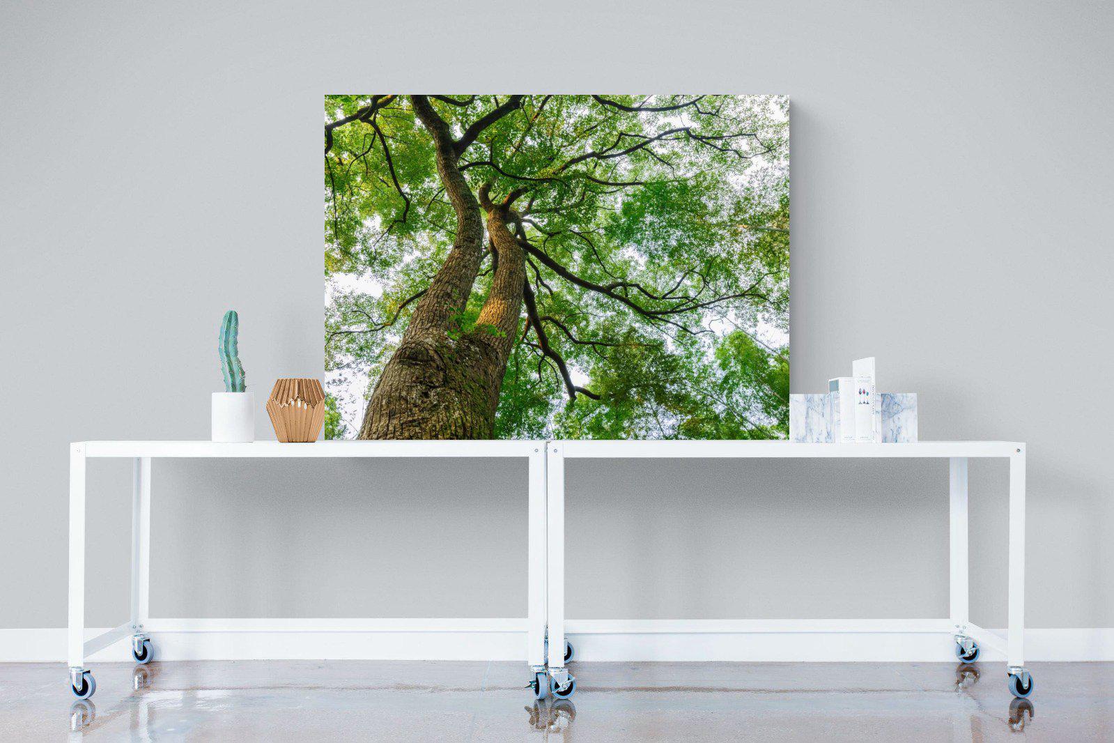 Tree Canopy-Wall_Art-120 x 90cm-Mounted Canvas-No Frame-Pixalot