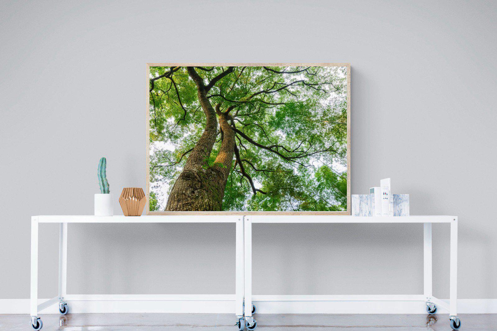 Tree Canopy-Wall_Art-120 x 90cm-Mounted Canvas-Wood-Pixalot